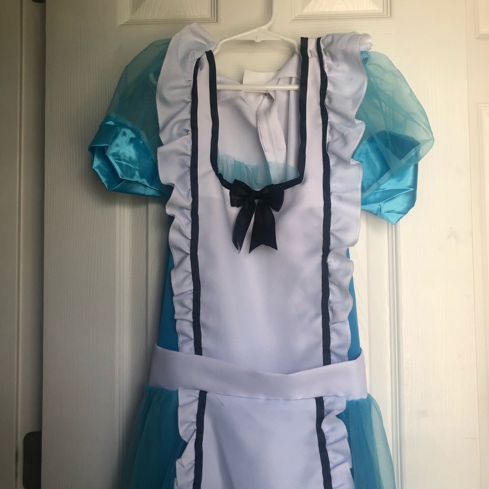Alice in Wonderland Costume